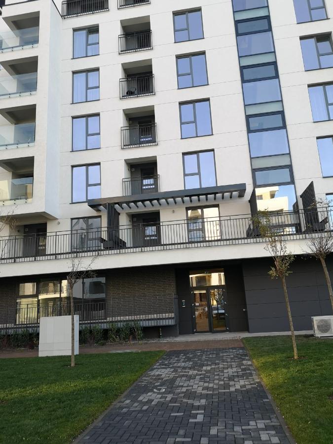 Grey House Residence Brasov Bagian luar foto